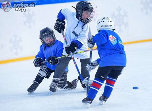 Подведены итоги приёма заявок на конкурс проектов развития детского хоккея «Добрый лёд».