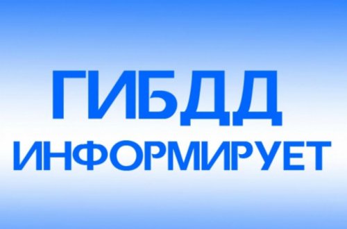 Нижегородская область стала первым регионом социальной кампании по безопасности дорожного движения «Расставь приоритеты!»