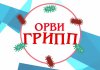 Об эпидемиологической ситуации по заболеваемости гриппом и ОРВИ в Нижегородской области