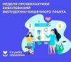 Позаботьтесь о своем желудке