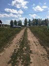 Дороги