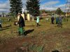 Экологический субботник