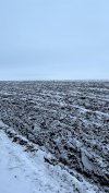 Подготовленная к весеннему севу земля