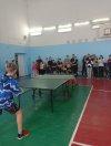 Соревнования по настольному теннису